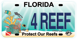 4reef