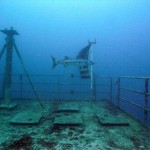 Key West Reef 26