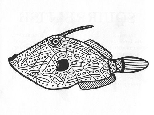 With its unusual colors and unlikely shape, this is one of the real clowns of the sea. Filefish spend much of the day swimming or drifting at odd angles, using nothing but their almst invisible fins to pusch themselves along. Young filefish are often found far at sea, using rafts of seaweed or other debris for shelter from hungry predators. In this way, they are able to travel safely across hundreds of miles of open ocean. When they finally find a reef, they leave their rafts and swim below to begin their new lives.