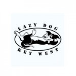 Lazy Dog