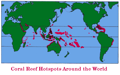 coral reefs location