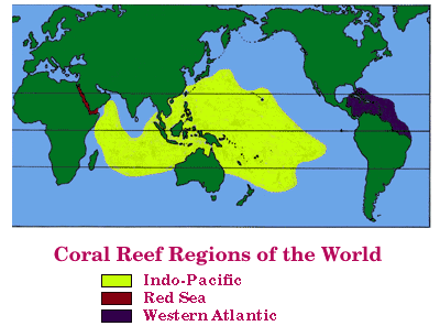 Reef Locations