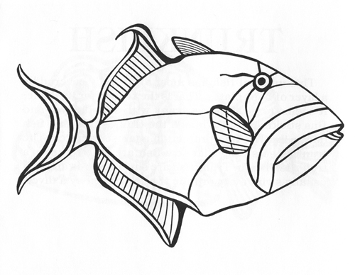 The triggerfish is named for the large strong spine on its back. This makes it less likely to become dinner for larger fish. Imagine trying to eat a board with a nail sticking out of it! A favorite food of some triggerfish is the spiny sea urchin, an animal that looks like a purple pincushion. To avoid hurting itself while dining on such a treat, the eyes of the triggerfish are not on the front of its face, but instead back where its ears should be.