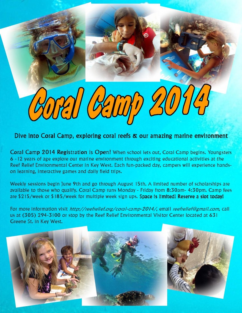coral Camp 2014 flyer-page-001